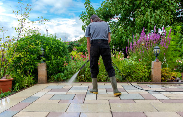 Best Fence Cleaning  in Edmundson, MO